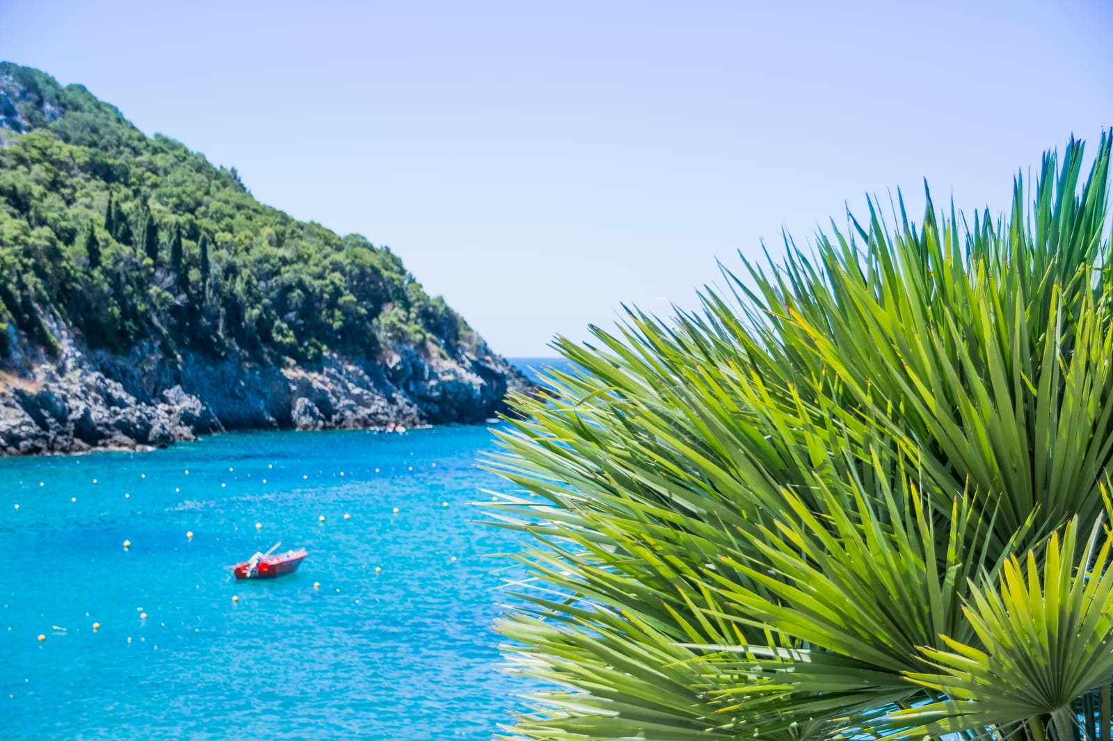 Blue Lagoon Corfu boat trip